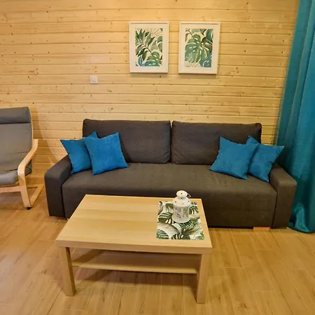 Amber Letniskowe Lodge *