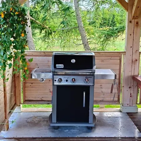 Amber Letniskowe Lodge *