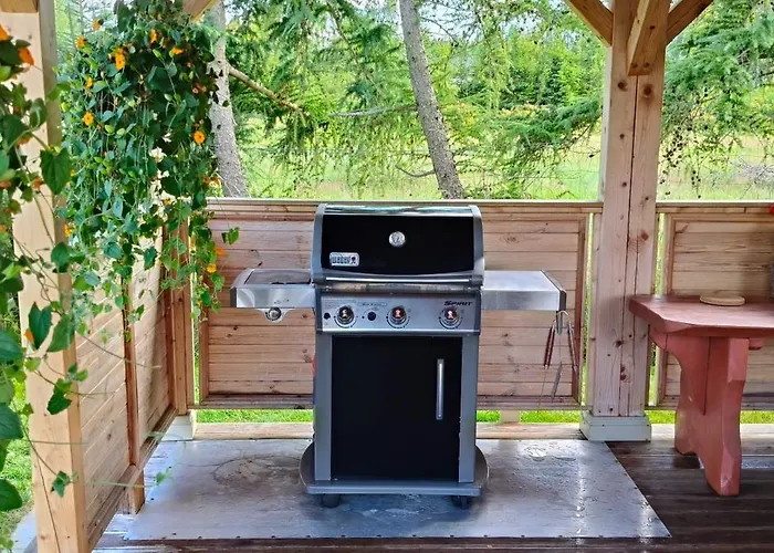 Amber Letniskowe Alojamento de Turismo Selvagem *